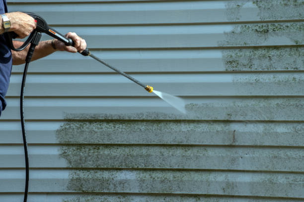 Best House Pressure Washing  in Longbranch, WA