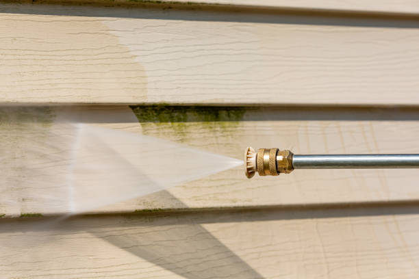 Roof Power Washing Services in Longbranch, WA